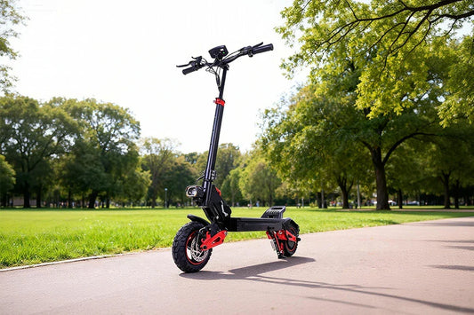 Freeboy Electric Scooter Maintenance Guide