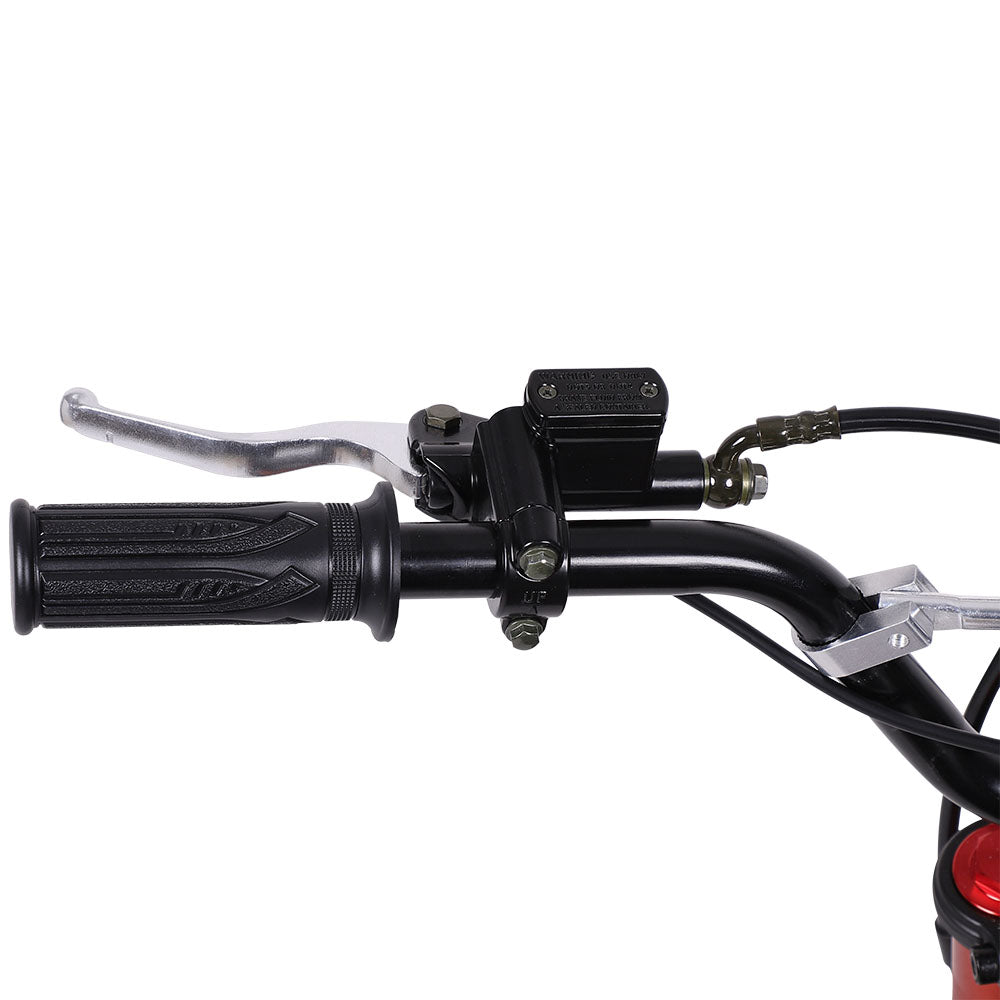 Freeboy Y01 Electric Motorcycle